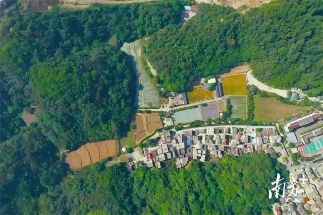 世界环境日，中山火炬高新区如何“以绿造美”
