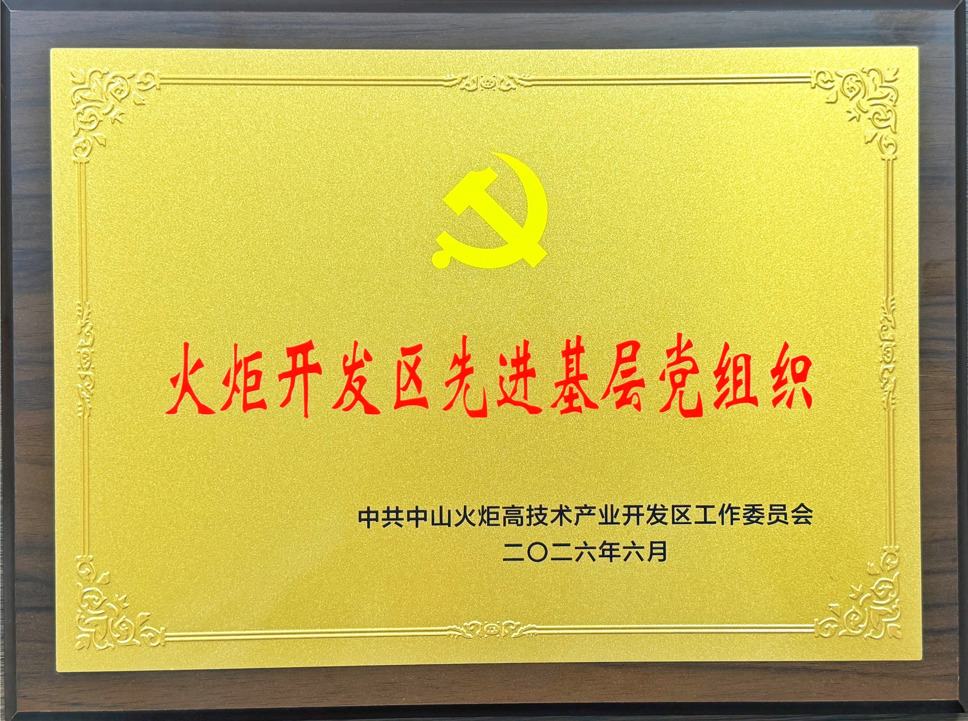 火炬开发区先进基层党组织